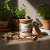 Kawowe-marzenie-świeca-sojowa-250-ml-edited_3 (2).png