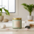candle duo aromatherapy set gift