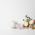 -edited_3 (2).png